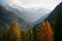 Herbstwanderwoche in Südtirol Bild